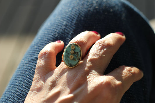 Anillo Niza